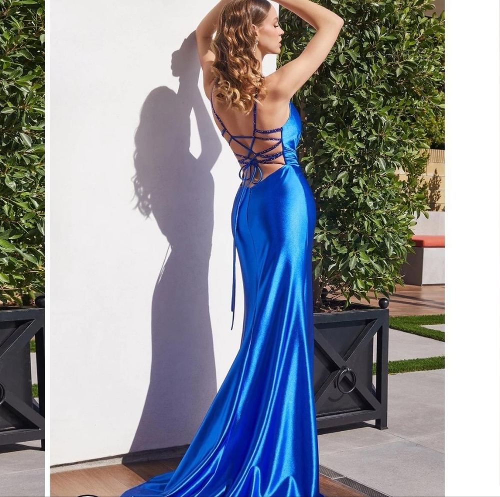 Prom Dress - Picture 3 of 3